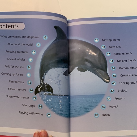 Whales and dolphins by Caroline Harris - Picture 2 of 10